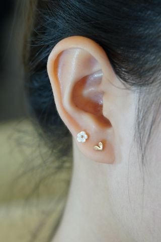  Hoa tai vàng 14K bông hoa cúc đuôi vàng hồng 