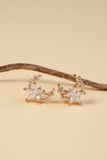 [ancafe-accessories] Hoa tai ER250K-003