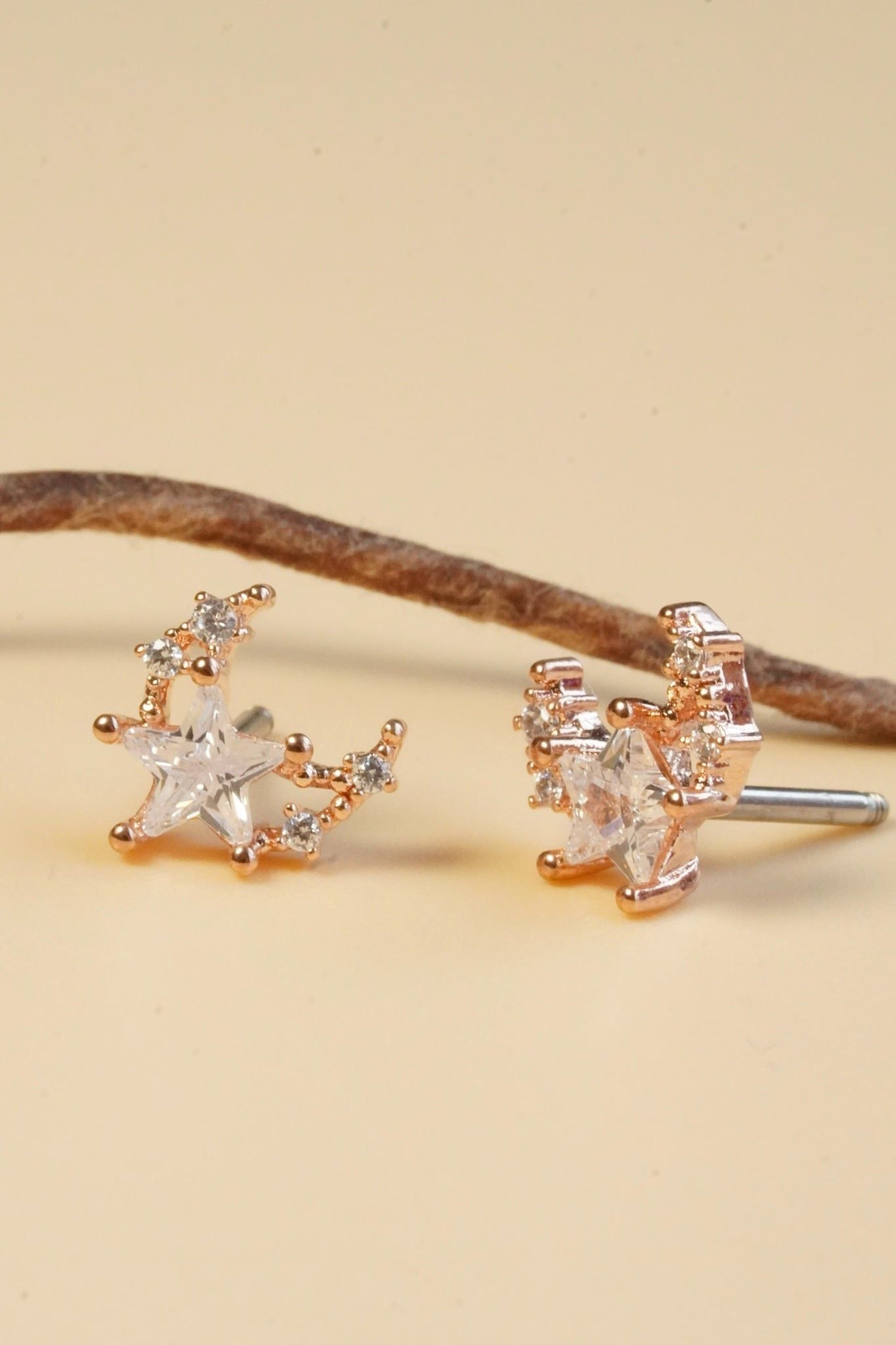 [ancafe-accessories] Hoa tai ER250K-003