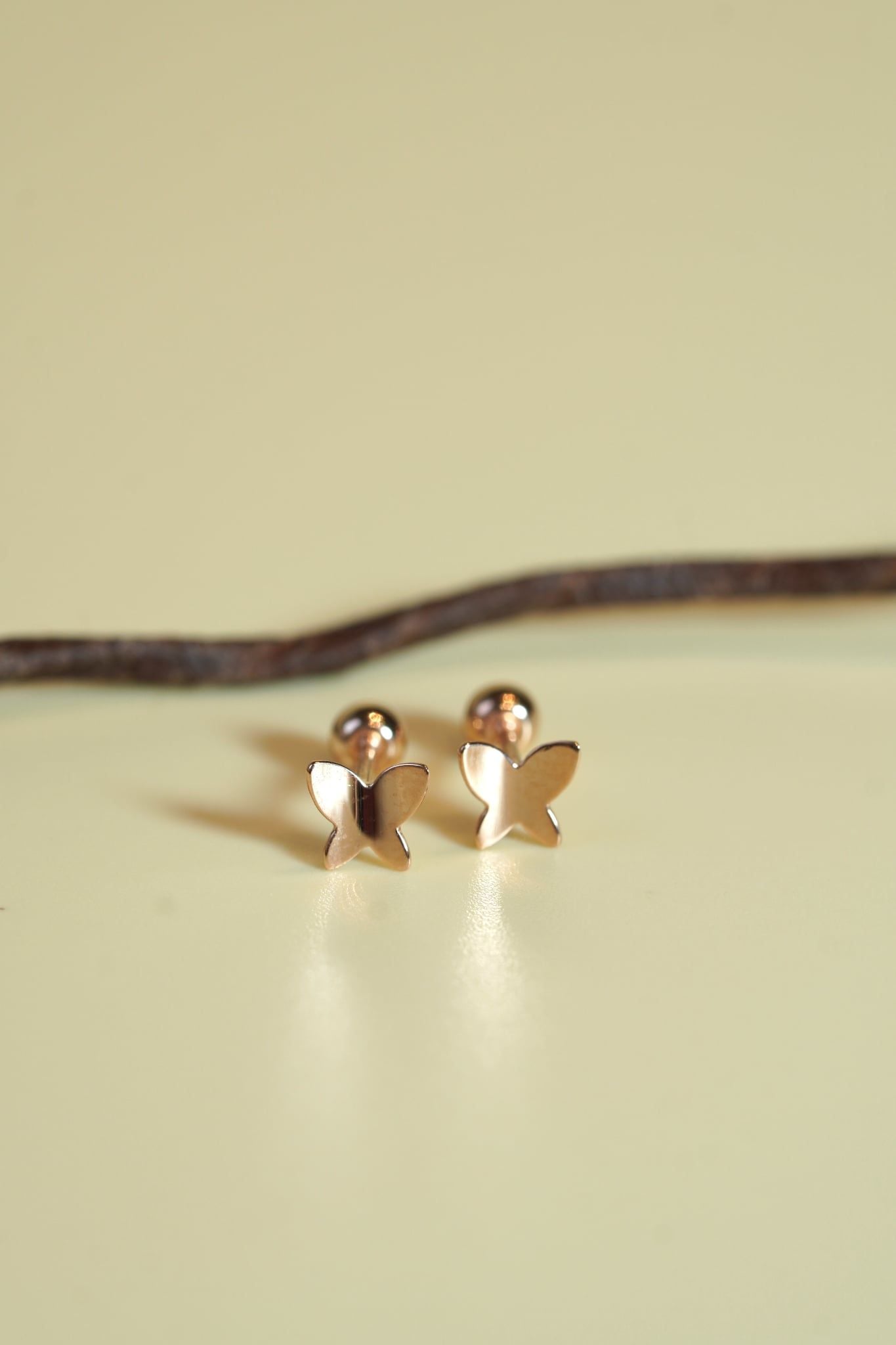 Hoa tai vàng 14k bướm trơn (ER-GLD-100)