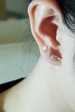 [ancafe-accessories] Hoa tai ER250K-001