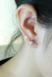 [ancafe-accessories] Hoa tai ER250K-002