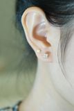 [ancafe-accessories] Hoa tai ER280K-012-BAC