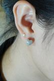 [ancafe-accessories] Hoa tai ER320K-061