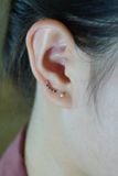 Hoa tai vàng 14k đá màu dài (ER-GLD-099)
