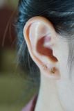 Hoa tai vàng 14k bướm trơn (ER-GLD-100)