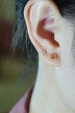 Hoa tai vàng 14k tim trơn  (ER-GLD-097)