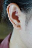Hoa tai vàng 14k nơ đính đá (ER-GLD-095)