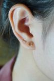 Hoa tai vàng 14k nơ đính đá (ER-GLD-095)