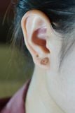 Hoa tai vàng 14K Trái Tim Đính Đá ( ER-GLD-005 )