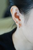 [ancafe-accessories] Hoa tai ER350K-026