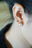 [ancafe-accessories] Hoa tai ER350K-016