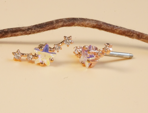  [ancafe-accessories] Hoa tai ER250K-002 