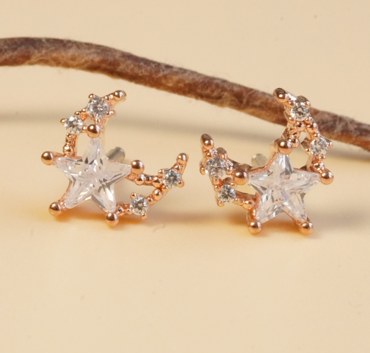 [ancafe-accessories] Hoa tai ER250K-003