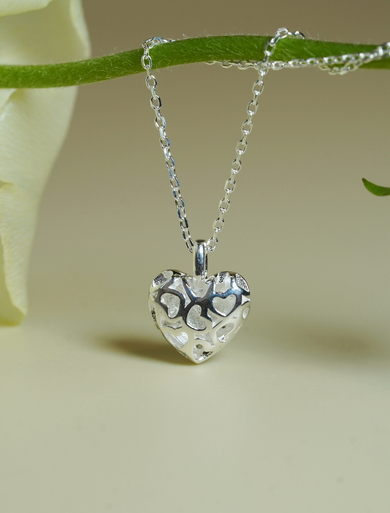 [ancafe-accessories] Dây chuyền NL450K-019-BAC