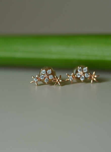 [ancafe-accessories] Hoa tai ER320K-015