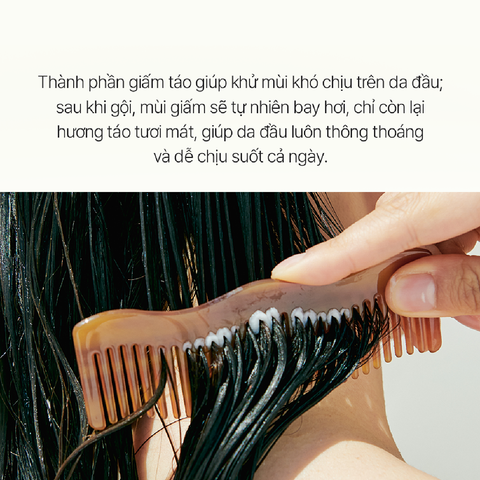  LADOR ACV VINEGAR TREATMENT 