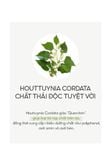  ONE THING Houttuynia Cordata Extract 