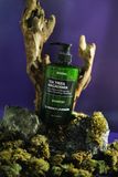  KUNDAL TEA TREE & MACADAMIA SHAMPOO 