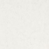  Caslaquartz 5141 Frosty Carrina 