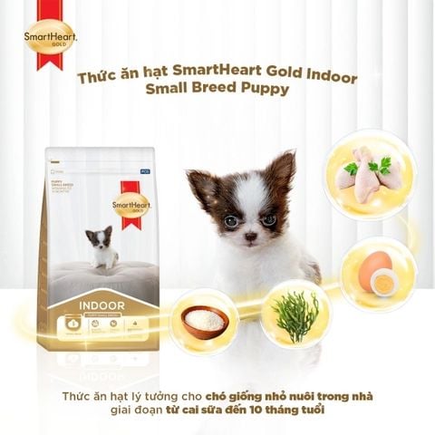  Hạt Smartheart Gold Indoor Dành Cho Chó Con Giống Nhỏ - Túi 1KG 