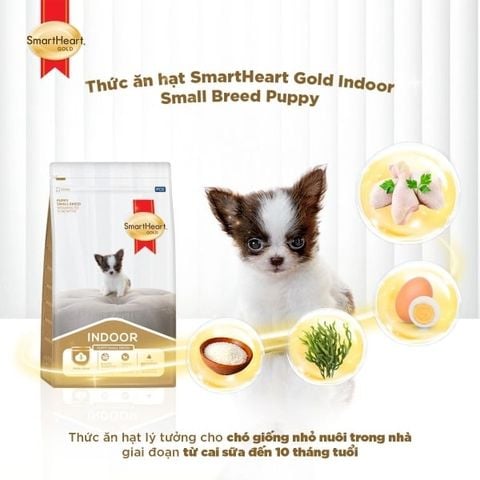  Hạt Smartheart Gold Indoor Dành Cho Chó Con Giống Nhỏ - Túi 1KG 