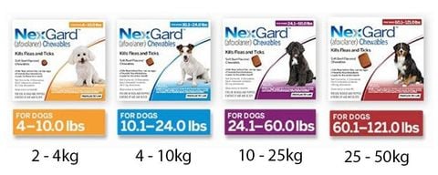  Viên nhai NexGard (01 Viên) HSD 10/2025 Viêm Da, Ve, Ghẻ, Bọ Chét Trên Chó (25-50kg) - Nông Trại Thú Cưng 