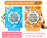  Cát Vệ Sinh Cho Mèo - Purcats - Cát Sắn Cature - 5,5L (2,5kg) 
