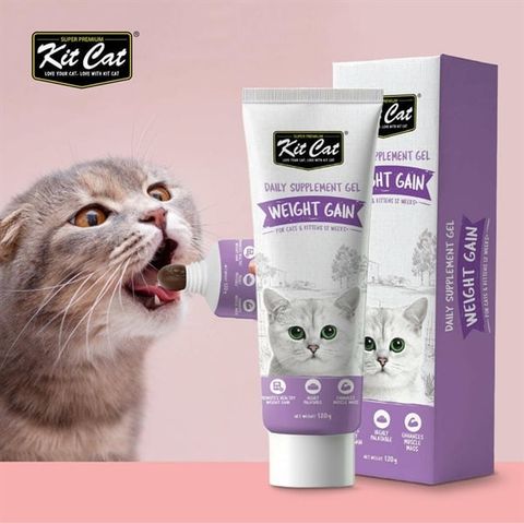  Gel Dinh Dưỡng Cho Mèo KitCat Singapore 120g 