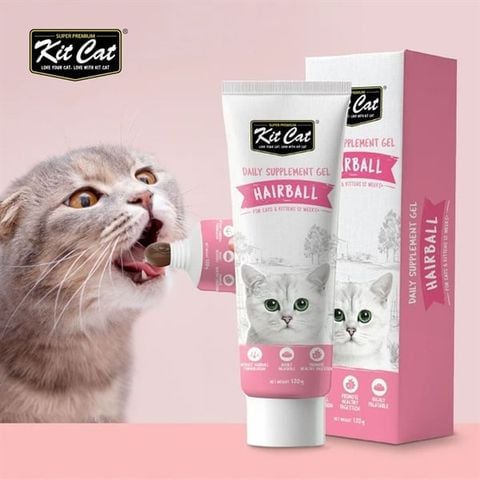  Gel Dinh Dưỡng Cho Mèo KitCat Singapore 120g 