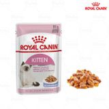  Pate Mèo con ROYAL CANIN KITTEN - Hộp 12 gói - Nhiều loại 