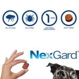  Viên nhai NexGard (01 Viên) HSD 10/2025 Viêm Da, Ve, Ghẻ, Bọ Chét Trên Chó (25-50kg) - Nông Trại Thú Cưng 