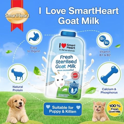 Sữa Tươi Tiệt Trùng Pha Sẳn I Love SmartHeart Goal Milk 70ml 