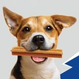  Bánh Xương Gặm Sạch Răng Pedigree Dentastix - Size 10-25kg 