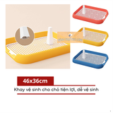  Khay Vệ Sinh Cho Chó Kèm Trụ 