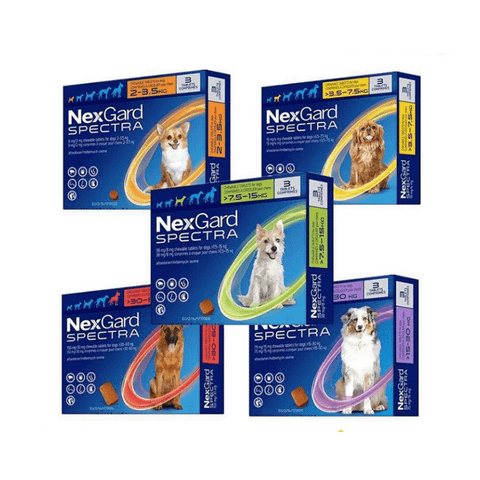 [HÀNG THANH LÝ] Viên Nexgard, Nexgard Spectra Hết Hạn, Hạn sử dụng 2025, Vui Lòng Xem Kĩ 