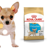  [Thanh lý]ROYAL CANIN CHIHUAHUA PUPPY 500g 
