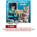 Hạt Mèo Lớn Reflex Plus Adult 1.5kg/1 kg chiết/15kg 