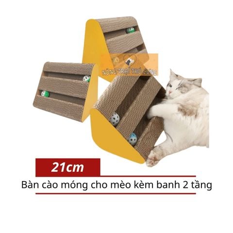  Bàn Cào Tam Giác Kèm Banh 