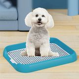  Khay Vệ Sinh Cho Chó Kèm Trụ 