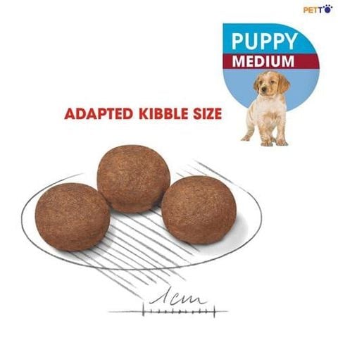 Hạt cho chó con Royal Canin MEDIUM PUPPY 