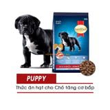  Hạt Chó Con SmartHeart Power Pack - Giúp Tăng Cơ Bắp - 1/3/10/20kg 