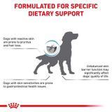  Hạt Cho Chó Viêm Da, Rụng Lông Royal Canin Skin Care 