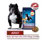  Hạt Chó Lớn SMARTHEART POWER PACK - Giúp tăng cơ bắp - 1/3/10/20kg 