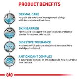  Hạt Cho Chó Viêm Da, Rụng Lông Royal Canin Skin Care 