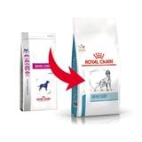  Hạt Cho Chó Viêm Da, Rụng Lông Royal Canin Skin Care 