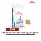  Hạt Cho Chó Viêm Da, Rụng Lông Royal Canin Skin Care 
