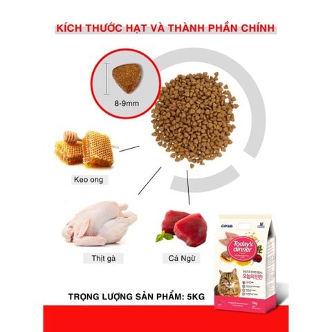  Hạt Cho Mèo Today Dinner Hàn Quốc 5KG - Bổ sung Keo Ong giúp mèo tiêu hóa tốt 