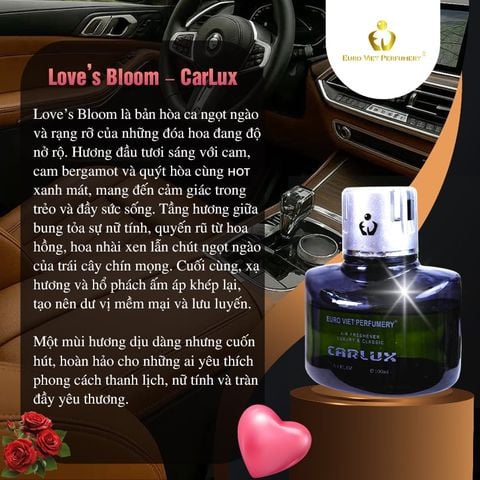  CARLUX Nước Hoa Ô Tô, phòng làm việc, phòng ngủ không gian nhỏ. Nguyên liệu nhập khẩu Bacelona (Tây Ban Nha) 