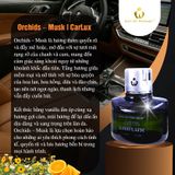  CARLUX Nước Hoa Ô Tô, phòng làm việc, phòng ngủ không gian nhỏ. Nguyên liệu nhập khẩu Bacelona (Tây Ban Nha) 